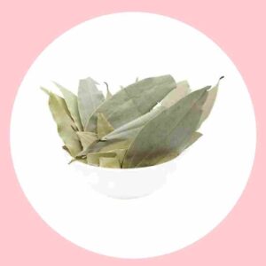 Tejpatta