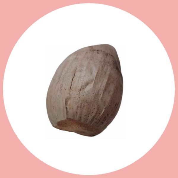 Sukha nariyal , Hawan nariyal ( 1 pcs )