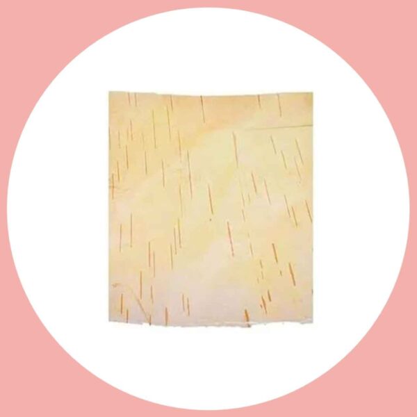 Bhojpatra ( 1pcs )